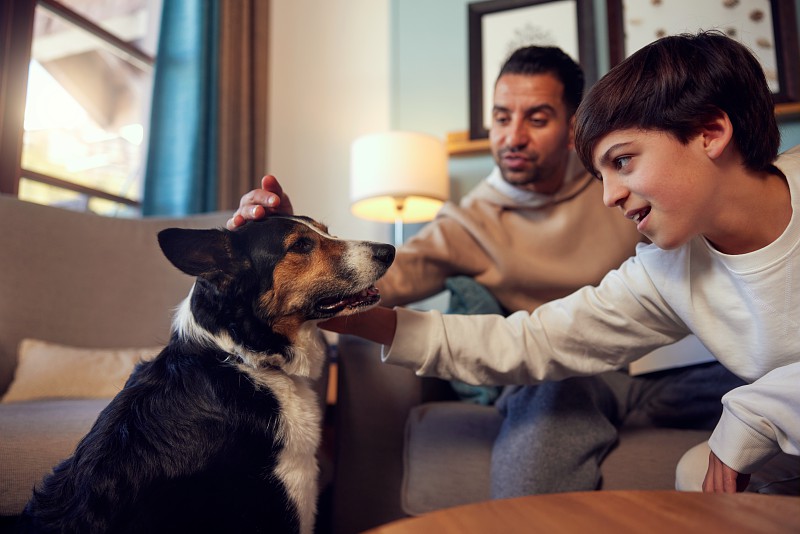 Servicios Edificio Eurobuilding 2